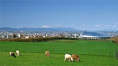 城市宣傳片旅游型