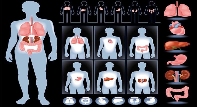 人體類知識科學普及